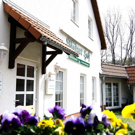 Regiohotel Pfaelzer Hof ורניגרוד מראה חיצוני תמונה